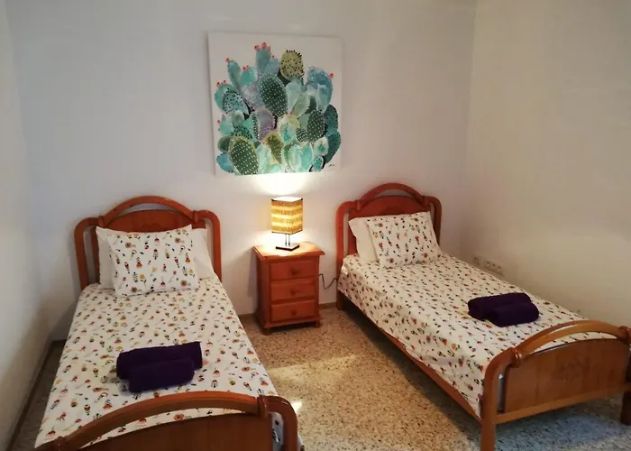 Ocean Sunshine Orzola