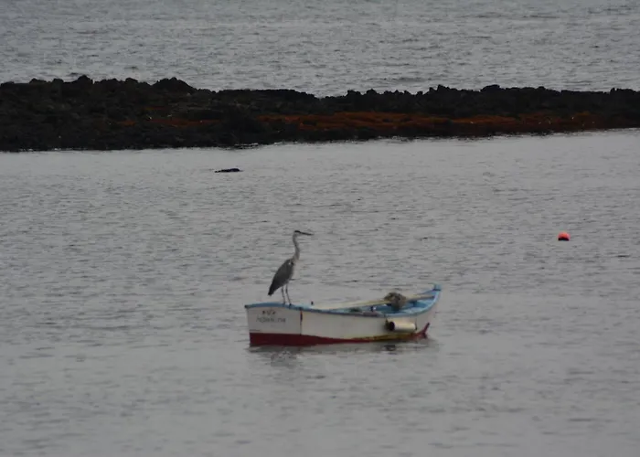 Σπίτι διακοπών Ocean Sunshine